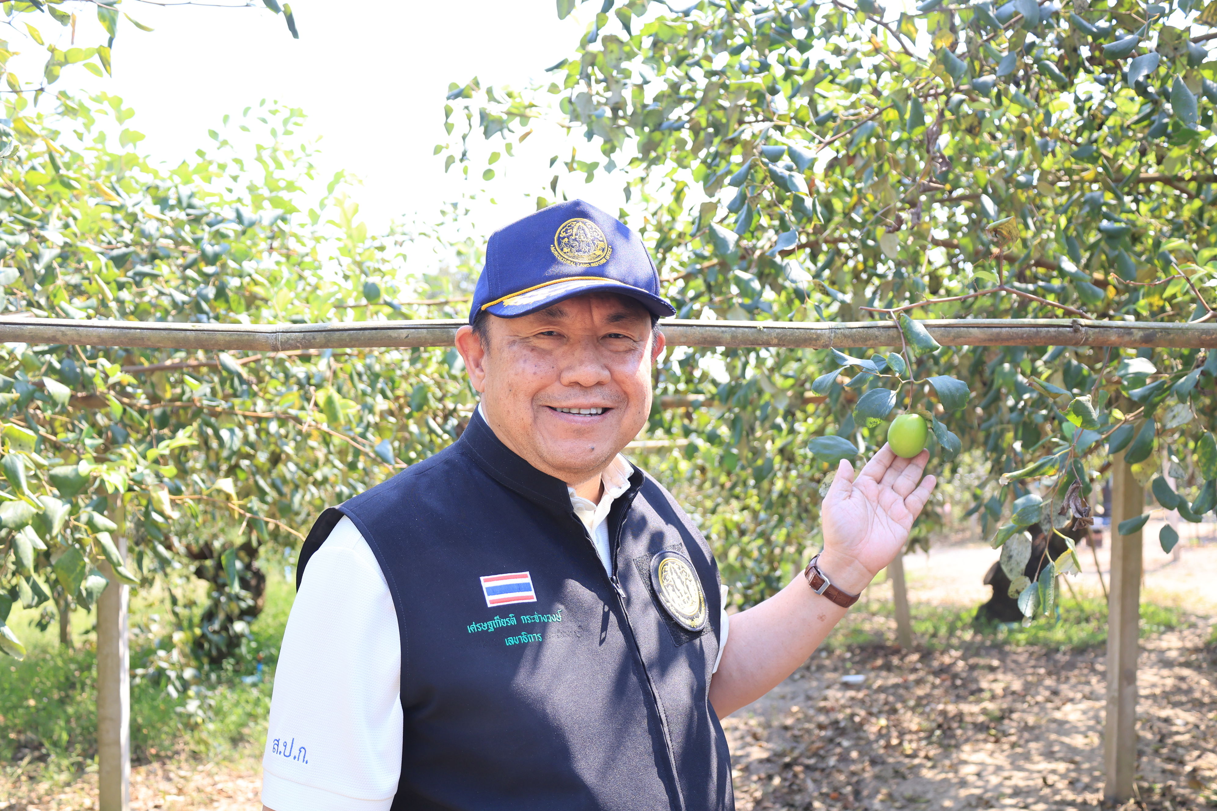 title - เลขาธิการ ส.ป.ก. และคณะ ตรวจเยี่ยมกลุ่มปลูกพุทรา บ้านท่าดีหมี หมู่ที่ 4 ต.ปากตม อ.เชียงคาน จ.เลย